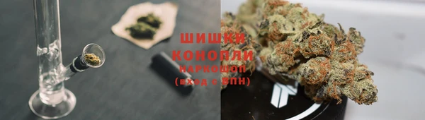 сатива Заволжск