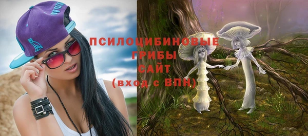 сатива Заволжск