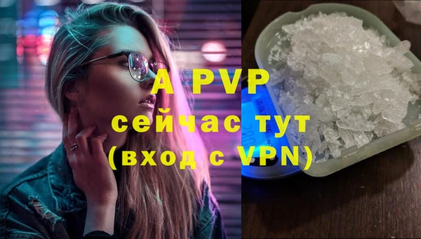 ECSTASY Заволжье