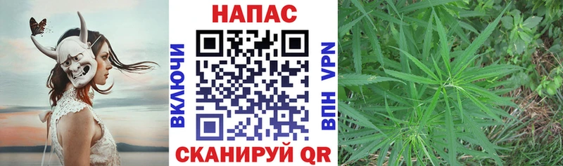 Купить где Исилькуль Канабис SATIVA & INDICA